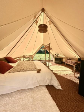 Tribu Lodge